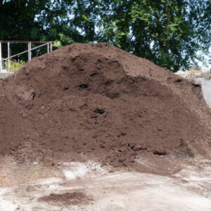 Tuinturf